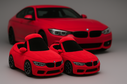 Car Slippers